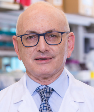 Stephen D. Nimer, MD