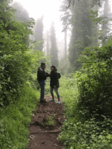 12236.gif